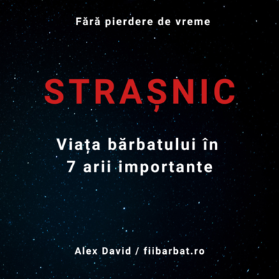Strașnic - Viața bărbatului în 7 arii importante - Alex David